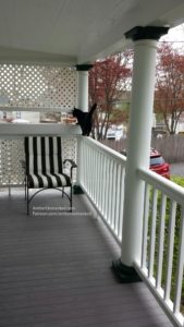 Gus on a railing