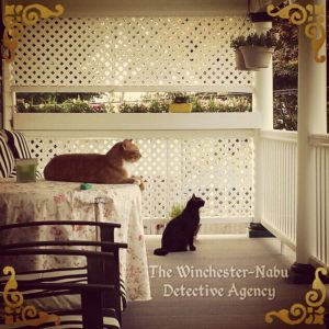 cat detectives