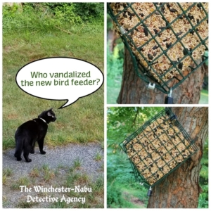 collage of vandalized bird feeder