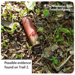 shotgun shell evidence