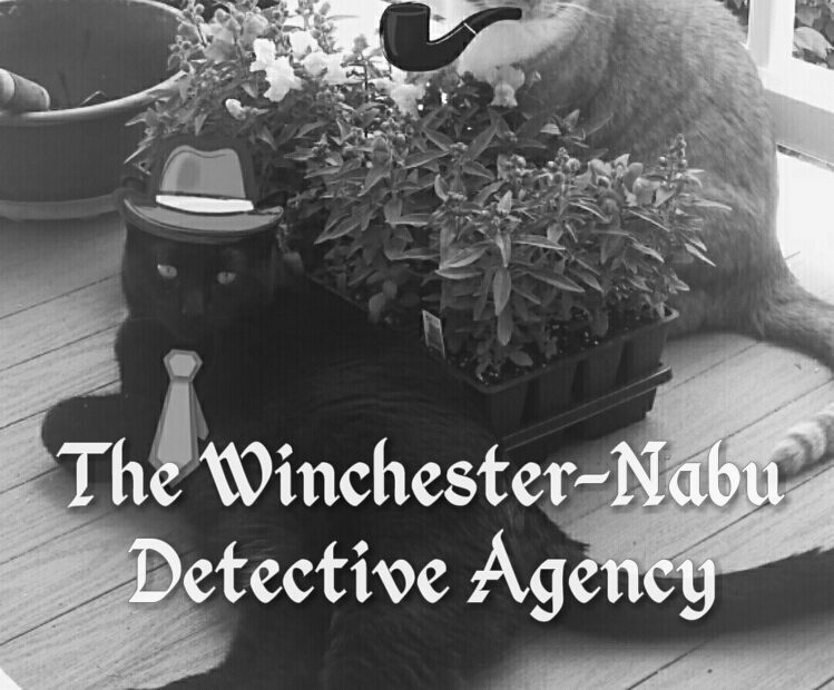 Cats photoshopped as noir detectives