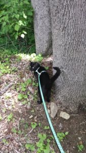 Gus by a big tree