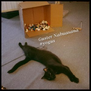 Gus style yoga