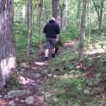 black cat Gus in the woods on his leash with male human