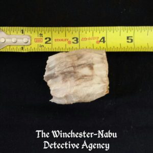 bone fragment approximately 2 inches long, hollow long bone piece. Winchester-Nabu Detective Agency 2017