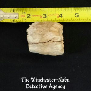 bone fragment approximately 2 inches long, hollow long bone piece. Winchester-Nabu Detective Agency 2017
