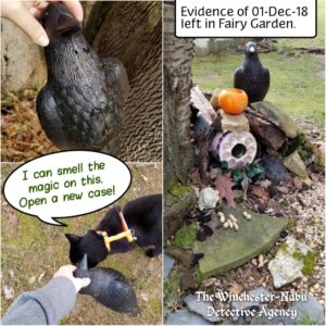 collage of crow decoy: being lifted out of the leaves; Gus inspecting it, "I can smell the magic on this. Open a new case!"; and the crow placed in the fairy garden.