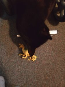 Gus investigating dinosaur next to measuring tape