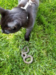 Gus with snake