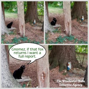 collage of Gus in Gnome Grove. "Gnomez, if that fox returns I want a full report."