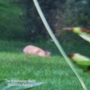 a terrible photo of a fox sniffing the ground.