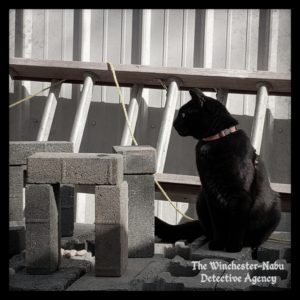 Gus investigates the henge