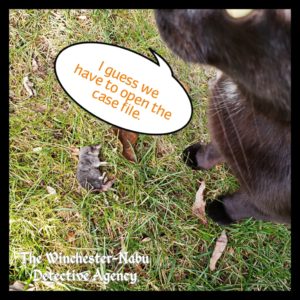 dead shrew evidence