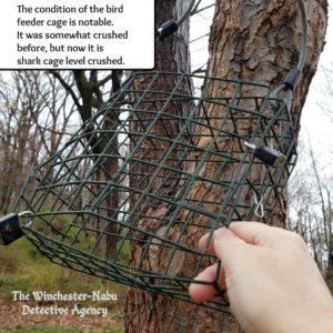 bird feeder damage