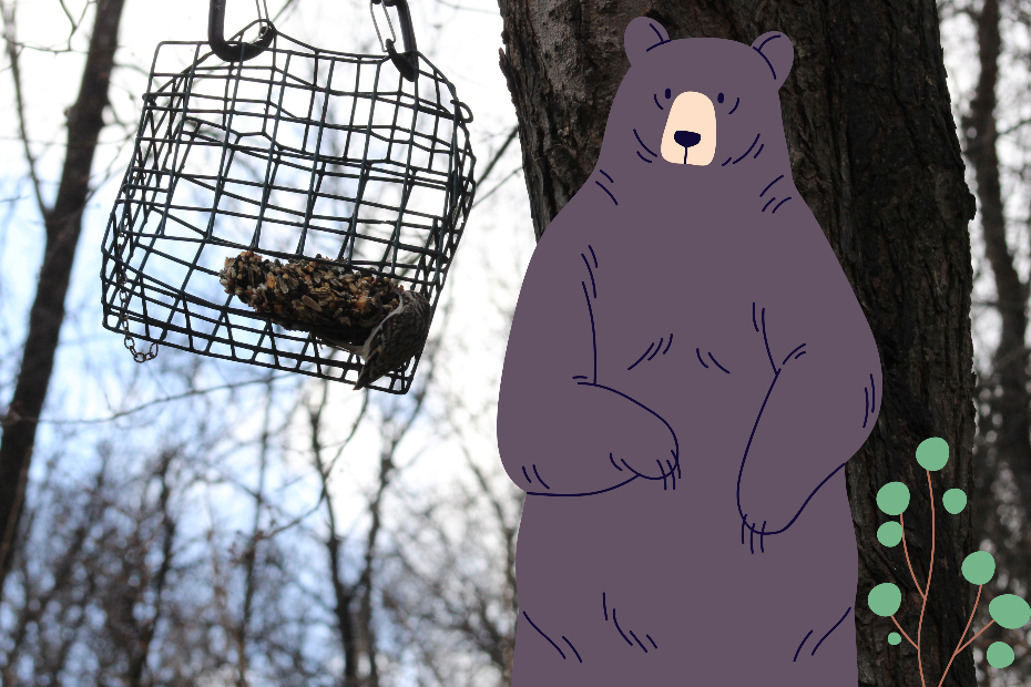 illustrated bear over top of a photo of bird feeder hanging from tree