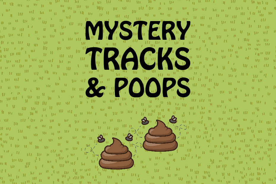 illustrated poops with "mystery tracks and poops" text