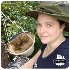 Amber with baby mice in planter