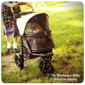 Oliver in stroller