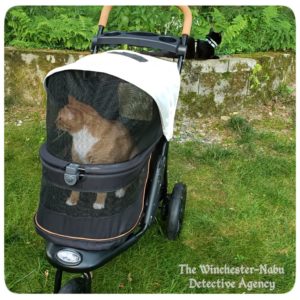 Oliver in stroller, Gus on wall