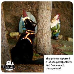 Gus in gnome grove