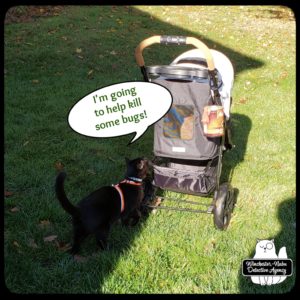 Ollie in his buggy and Gus standing at the back