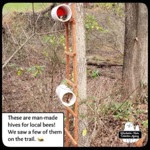 artificial beehives in the woods