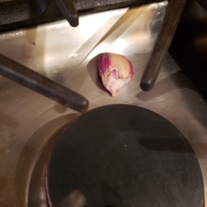 shallot with bite marks on top of the chrome stove
