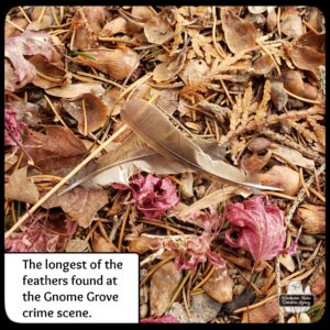 feathers in autumn leaves