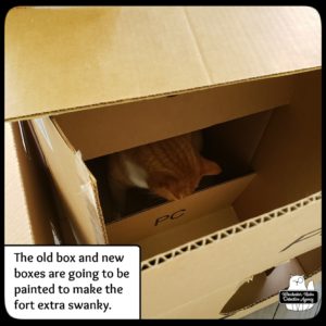 Ollie in box