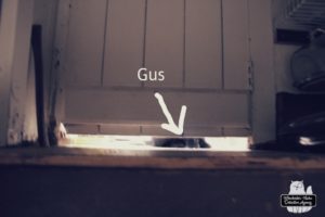 bottom of cellar door where Gus waits
