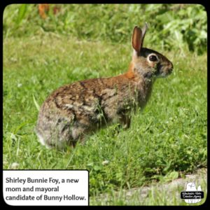 bunny wolpertinger Shirley Bunnie Foy