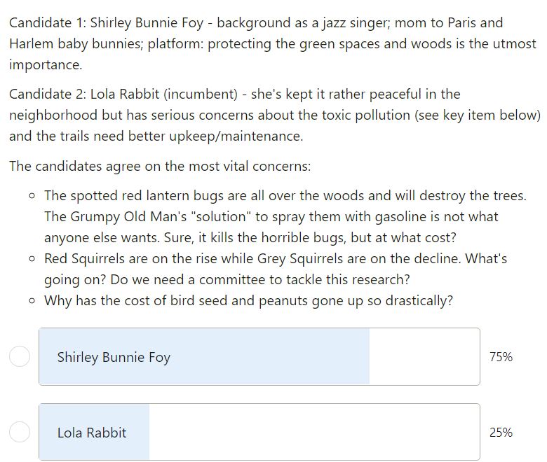 bunny hollow mayoral election