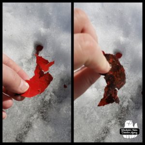 red paint chips in snow and ice