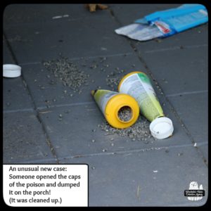 rodent poison spilled