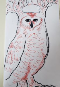 sketch of magical owl