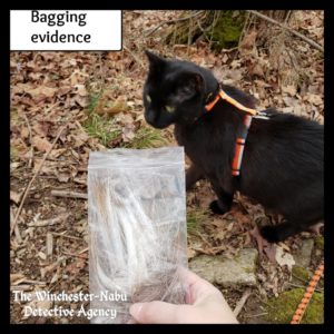 Gus and the evidence bag