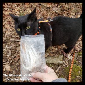 Gus smelling evidence