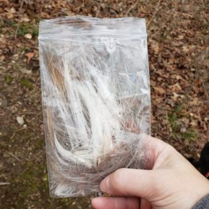 evidence discovered hair/fur in bag