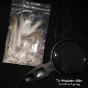 hair specimen jersey devil