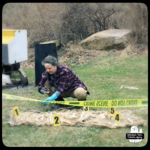 Amber crime scene photo with skeleton