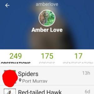 screen shot of iNaturalist app