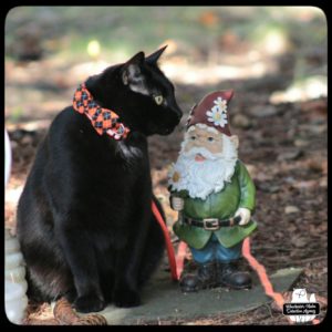 Gus and Gnome Chomsky