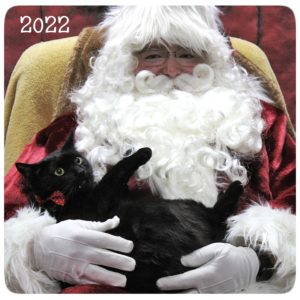 Santa Claus cradles black cat Gus in his arms.