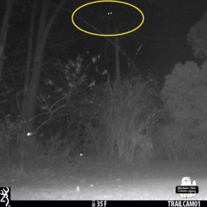 trail camera capturing 2 strange lights in tandem like "eyes" up in the dark sky