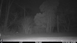 a barely perceptible mid-tone of a mass on the far left of the trail cam image