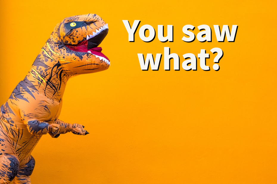 T-rex costume that popular: You saw what?