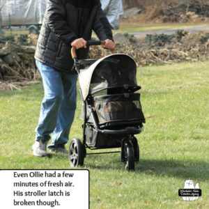 Ollie in his buggy with broken latch