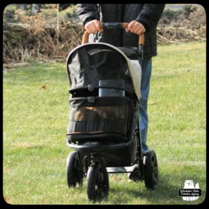 Ollie in his buggy with broken latch