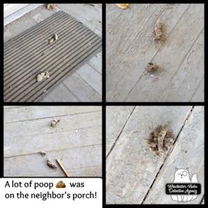 collage of poops on porch