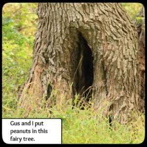 the base of a tree with a vulva-shaped opening